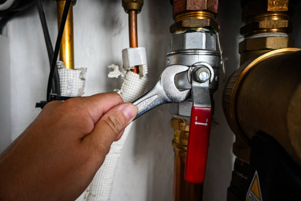 Best Clogged Drain Plumber  in Shelburne Falls, MA